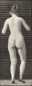 Plate 195 Dancing a waltz — figure reference